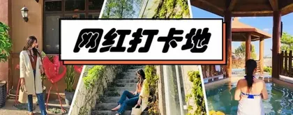 光靠“网红”难以长久1