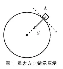 关于物体在地球表面所受重力的方向和大小的难点思考