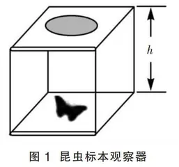 基于课程标准的选择题命制技术探讨