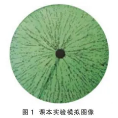 用塑料丝模拟电场线真的对吗