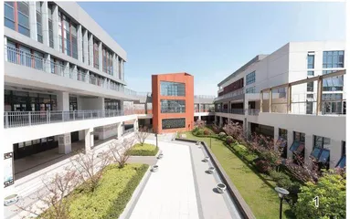 打造儒学特色品牌，全面推进素质教育 