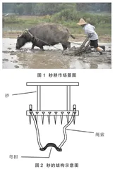 傣族地区本土元素融合5E教学法在高中物理教学中的应用