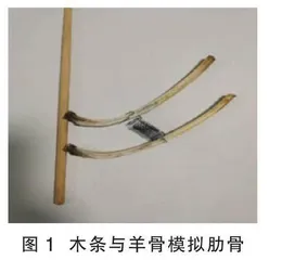 基于核心素养培养的跨学科实践研究