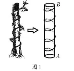 基于STEM理念，项目化实施“综合与实践” 