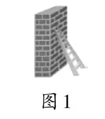 立足整体建构　发展核心素养