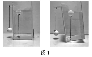 把握逻辑　凸显思维  