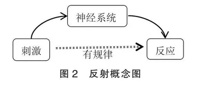 基于具身认知视角建构生物学概念