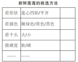 初中生物跨学科实践活动的策略研究