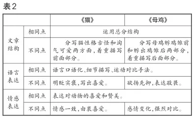 可视化教学：多元表征下的学生思维发展2