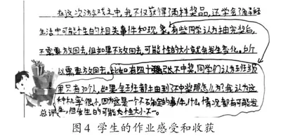 探究性长作业活动教学4