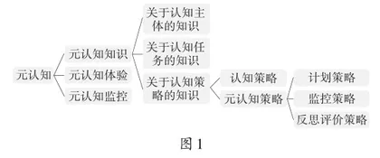 运用元认知策略提升初中生阅读素养的实践研究