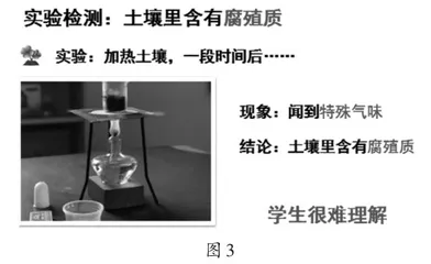 小学自然核心活动设计优化例谈4