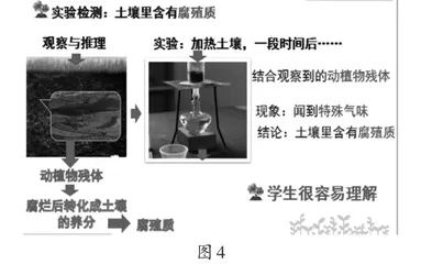 小学自然核心活动设计优化例谈5