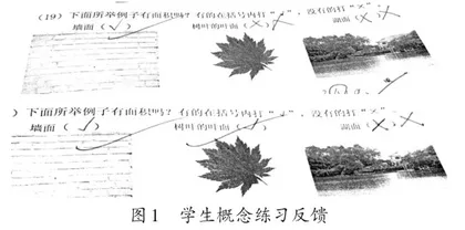 基于“双减”政策下小学数学中高年级课堂练习设计与实施
