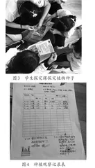 劳动正当时 青春共成长1