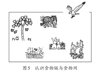 导向深度学习的教学新探索4