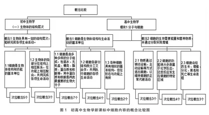 基于生命观念的初高中生物学衔接教学策略研究