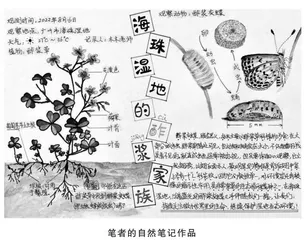 引领小学生关注身边大环境中的小生物策略探究