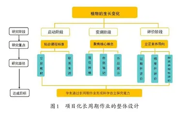 项目化长周期作业的探究实践