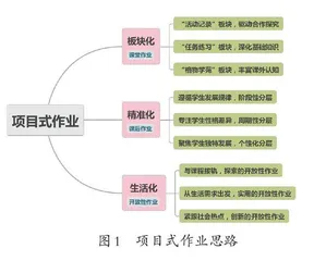 项目式作业：从课堂贯穿课后的深度学习