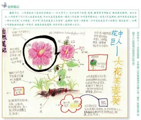 花中巨人