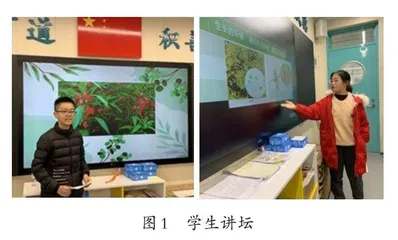 小学科学“三段式”特色作业探索
