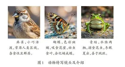利用微课资源开展乡村小学科学教学