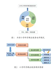 乡村学校科学课后服务的实施策略