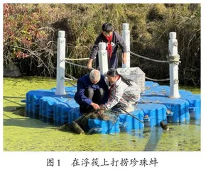“四维”推进：工程实践活动的序列进阶