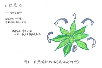 基于项目式学习理解“结构与功能”