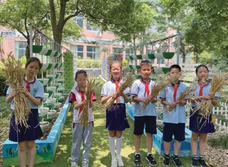 小学科学微活动教学初探