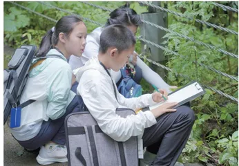 例谈如何高效创设小学科学教学情境