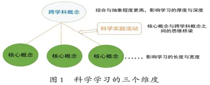 小学科学跨学科概念建构的教学策略
