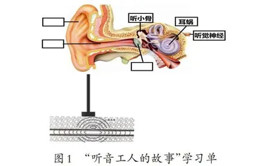 指向问题解决能力培养的学习单实践