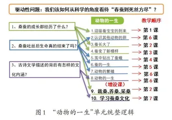 小学科学单元项目式学习设计
