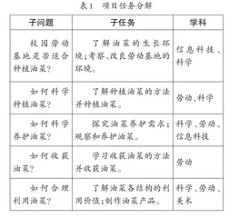 “科学种植油菜并合理利用”项目实践