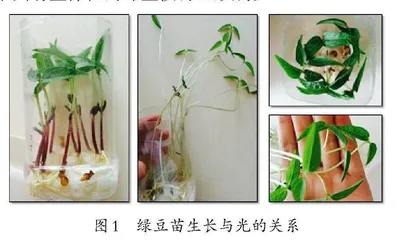指向深度学习的小学科学作业设计