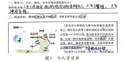 促进思维在科学课堂上真实发生