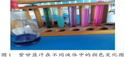 “紫甘蓝的变化”实验改进