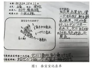 做自然笔记治疗“自然缺失症”