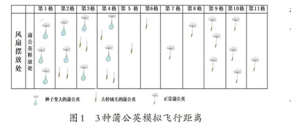 基于理解的跨学科概念进阶教学实践