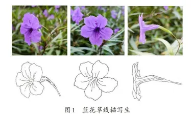 校园笔记的跨学科实践