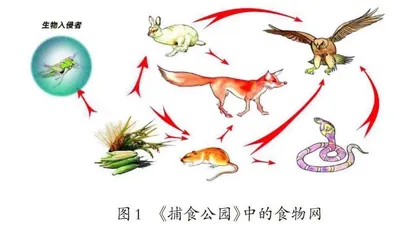 依托棋牌游戏评价学生科学推理能力
