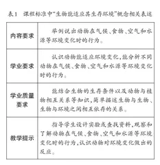  发展核心概念，引领深度学习