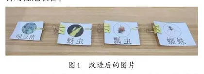 从《食物链和食物网》教学看实验材料创新