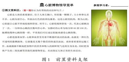 多元支架助推深度探究