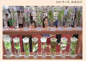 高教博览会专家学者热议中小学科学教育
