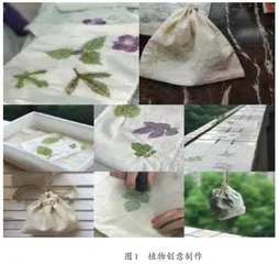 小学科学“植•趣”活动的设计与实施