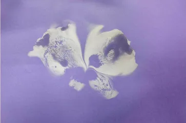 “探究蘑菇生长”农业种植体验活动