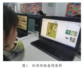 “校园鸟巢”项目设计与实施